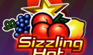Игровой автомат Sizzling Hot – обзор главных параметров